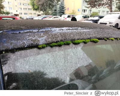 PeterSinclair - @PeterSinclair: