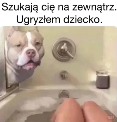 KingOfNull - #heheszki