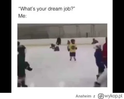 Anaheim - @ZwyklyRoman: Wolę tę wersję ( ͡° ͜ʖ ͡°)