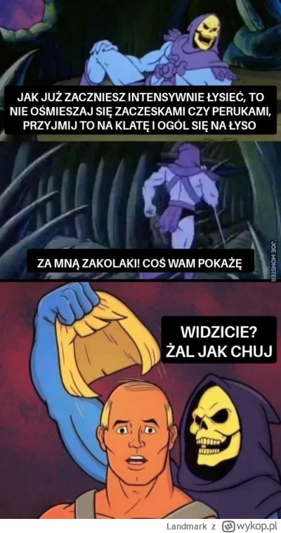 Landmark - @zielonykszak ( ͡° ͜ʖ ͡°)