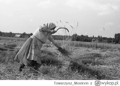 Towarzysz_Moskvin - @betonoweczolo: A tak wyglądała polska wieś w 1955 (35 lat przed ...