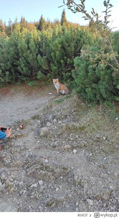 KHOT - @StraznikWiecznosci: tak było rok temu na Królowej Równi.