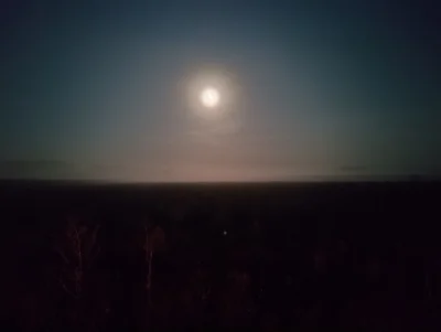 ZjemCinos - Nocna wycieczka