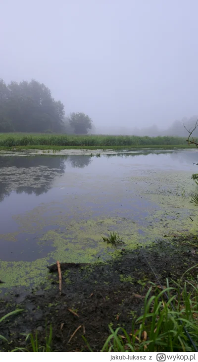 jakub-lukasz - @Zielonkazdr byłem, mały linek i tyle