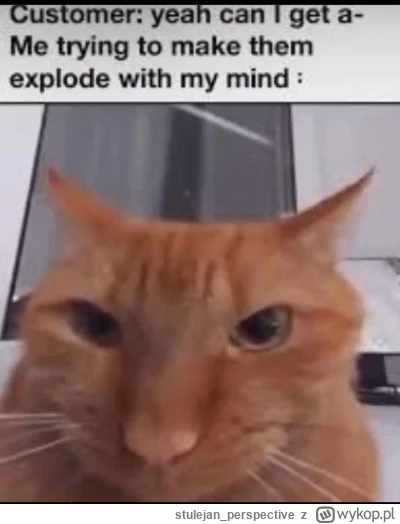 stulejan_perspective