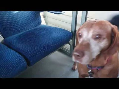 uioou45645fgd - wysłuchajcie tego