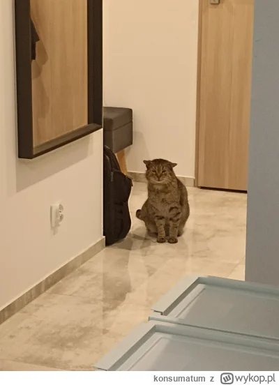 konsumatum - a tu Zbyszek po wizycie u weta, gdzie mu wkładali różne rzeczy w różne m...