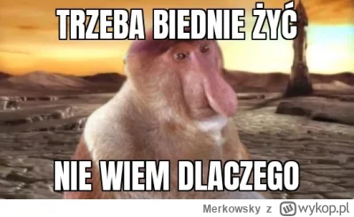 Merkowsky - @ChlopoRobotnik2137 to kupiłeś w dołku sprzedałeś na górce? Co ty jakiś n...