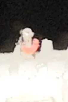 b.....o - @Brylant: poszło z gruzem, powodzenia ( ͡° ͜ʖ ͡°)