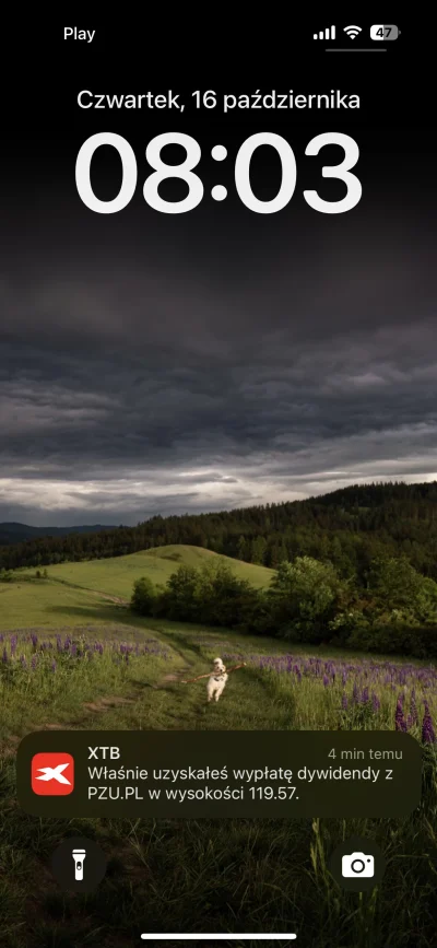 PodniebnyMurzyn - Bogactwo część główna 
#gielda