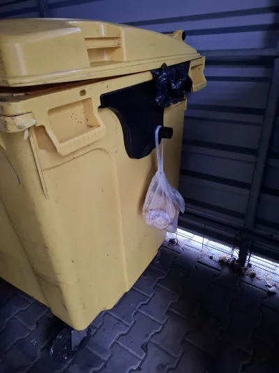 mdlejtecole - Ktoś powiesił chleb na śmietniku, bo wyrzucić nie wolno, ale zostawić t...