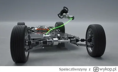 SpalaczBenzyny - @PiotrFr: oni to chyba juz z 10 lat mają i działa to tak, że jest sp...