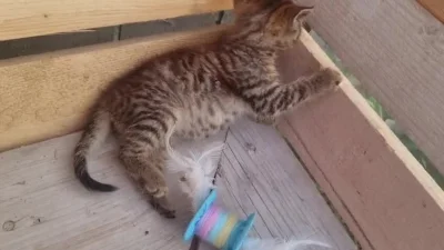 Lujdziarski - @Lujdziarski Proszę wybaczyć za soundtrack, szwagier nie słucha normaln...