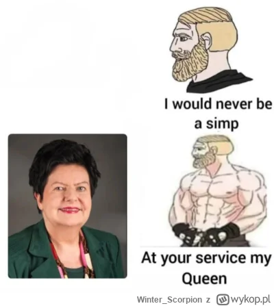 Winter_Scorpion - #polityka #zero #kanalzero