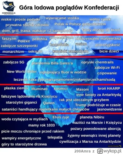 200Amra - Program konfy jak by komuś umknęło 

#bekazkonfederacji #polityka