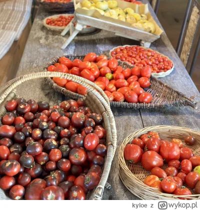 kyloe - Pojechałem wczoraj na lunch na farmę niedaleko San Vincenzo.  Dość głęboka pr...