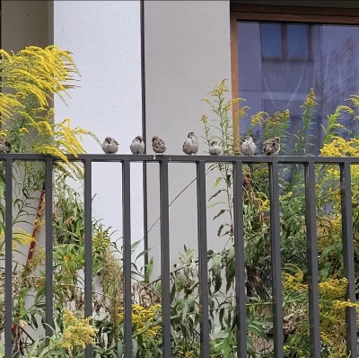 haabero - @Cozzie: tutaj w szerszym kadrze