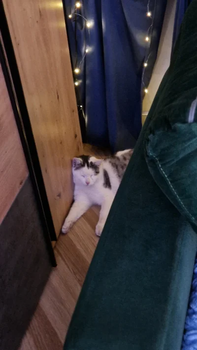 impact18 - Śpi ciągle (｡◕‿‿◕｡)