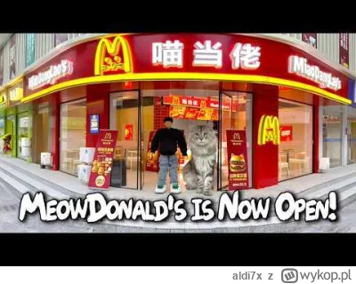 aldi7x - Czy to jest zrobione z pomocą AI? Jakiś Chińczyk buduje miasto kotów, wygląd...