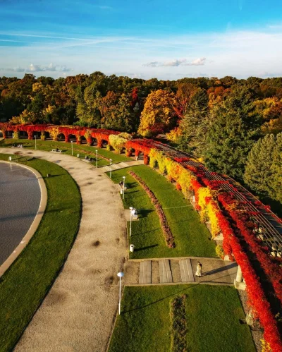 mroz3 - #dziendobry Chłodno, niewielkie zachmurzenie.

WIATR............ wschodni (E)...