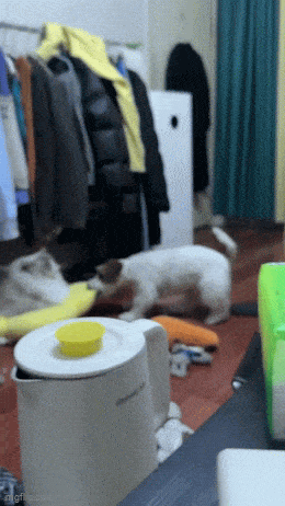 wfyokyga - Złaz grubasie z mojego miejsca