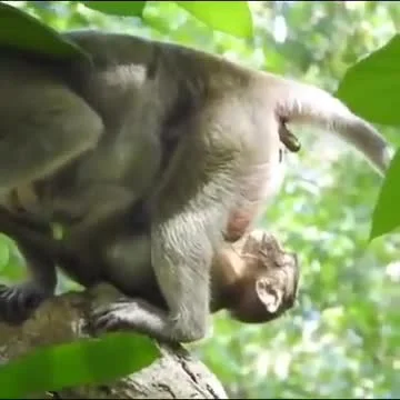 TakiSobieLoginWykopowy - https://streamable.com/x0gnh7

#przegryw