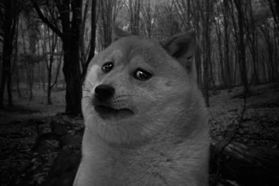 LRF1000W - @ruskizydek: ehhh, trzymaj się Miras ( ͡° ʖ̯ ͡°)