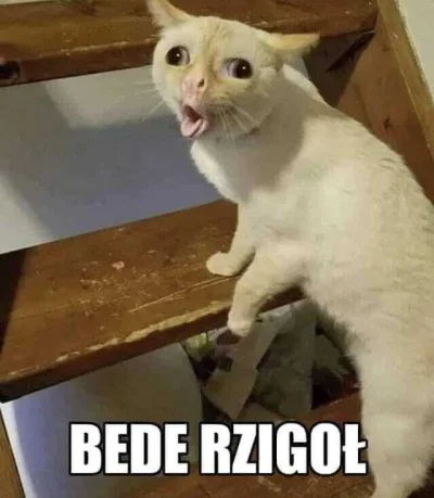 ERNEST1444 - "czteroosobowego samochodu elektrycznego za około 14 tysięcy euro, o prę...