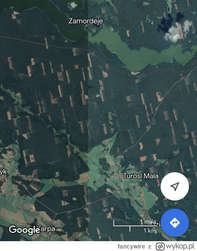 fancywire - sieczka w polskich lasach