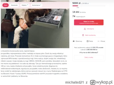 michalxd21 - Nic mnie tak nie irytuje jak traktowanie psów przez psiarzy jak dzieci. ...