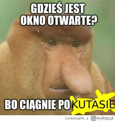 Cerb3rusPL - #konkursnanajbardziejgownianymemznosaczem