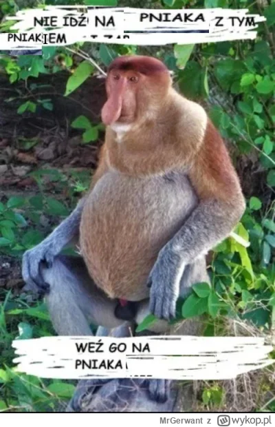 MrGerwant - #konkursnanajbardziejgownianymemznosaczem #postszczuryzm
