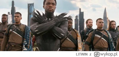 LITWIN - Wakanda została odkryta!