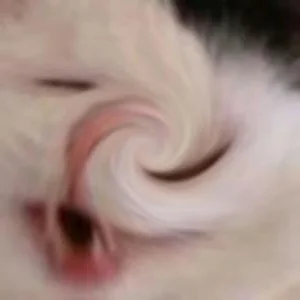 Timer555 - @Timer555 kurła nie w tę stronę