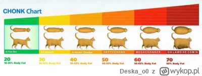 Deska_o0 - > myślał że on w ciąży jest bo włóczy brzuch. 

@arinkao: sęk w tym że kot...