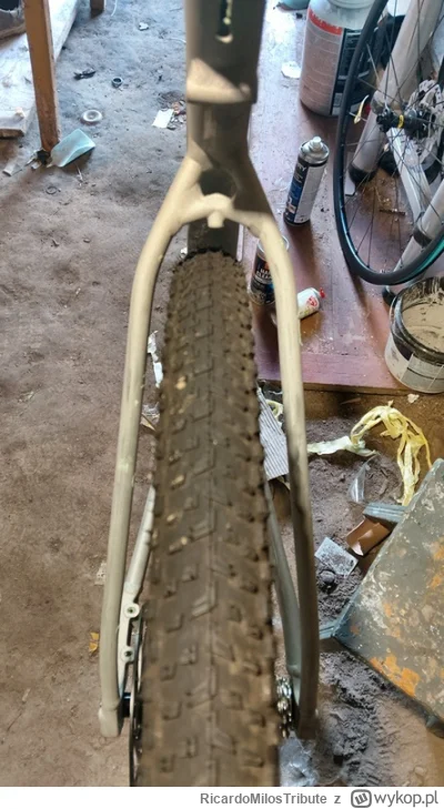 RicardoMilosTribute - #rower miałem tego marina gestalta odświeżyć w sensie wymalować...