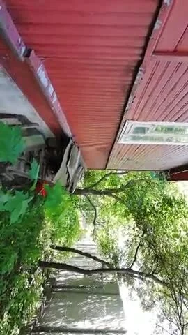 SkosnoPDF - #kononowicz  #patostreamy

Dziś będzie nieco estrogenowo.
Noveek niczym r...