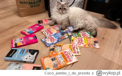 Cocojumboidoprzodu - Kitka władczyni saszet. Dziękuję niewolniku za twe dary. (⌐ ͡■ ͜...