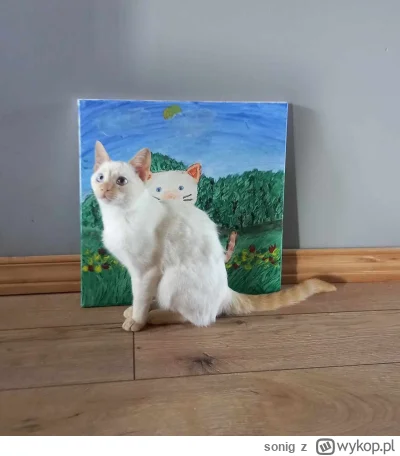 s.....g - Moje milované koťátko (ʘ‿ʘ)

#koty #pokazkota