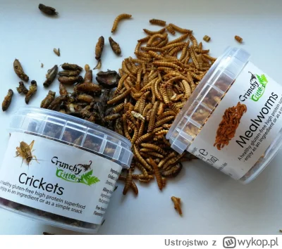 Ustrojstwo - Czy robaki to dobre źródło białka? #silownia #mikrokoksy #nwo
