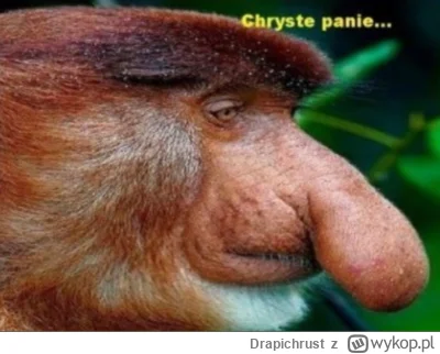Drapichrust - @sknnnna Jak sobie pomyślę że ktoś za to płaci to mi się słabo robi