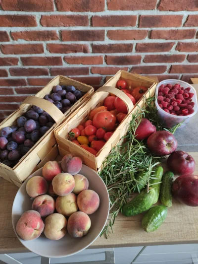 Krupier - Moja działeczko kc bardzo wiesz? <3
#ogrodnictwo #dzialka #rod #rosliny