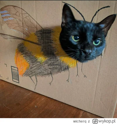 wicherq - wstajemy pszczółki do roboty, miłego dnia ( ͡° ͜ʖ ͡°)