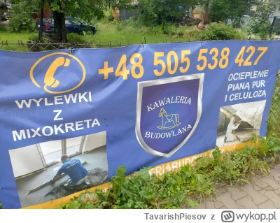 TavarishPiesov - Husaria Wykończeniówki
Lisowczycy Elektrycy
Pułk Ułanów Mixokretowyc...