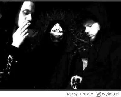 Pijany_Druid - #przegryw Norwedzy umieją w Depressive Suicidal Black Metal(╥﹏╥)