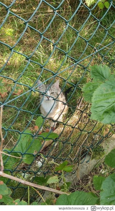 wujeklistonosza - @stanley___ ja na wakacjach na Kaszubach, po przyjeździe do wynajęt...