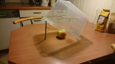 jmuhha - Zalęgły mi się muszki owocówki i zrobiłam se półapke 乁(♥ ʖ̯♥)ㄏ