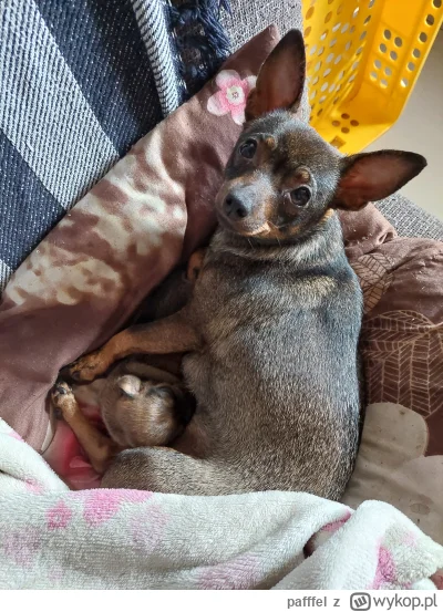 pafffel - @wojas113 jest z mamą