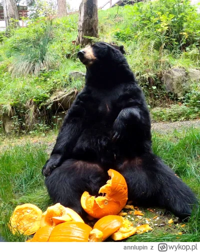 annlupin - mirkujecie sobie? no to dobrze