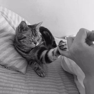 mala_kropka - #zupawkropki